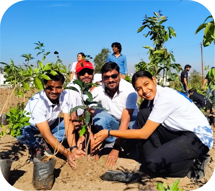 Volunteers planting sapling together in soil pit